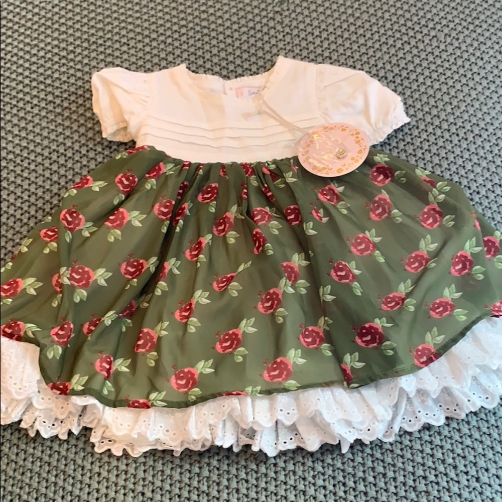 Sweet honey 18 mo dress - Picture 1 of 5